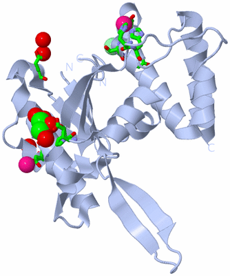 Image Biol. Unit 1 - sites