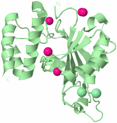 Image Biological Unit 2