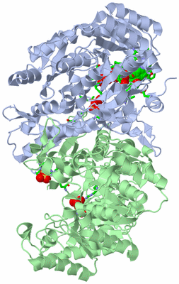 Image Biol. Unit 1 - sites