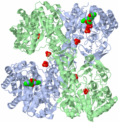 Image Biological Unit 2