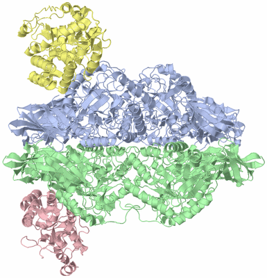 Image Biological Unit 1