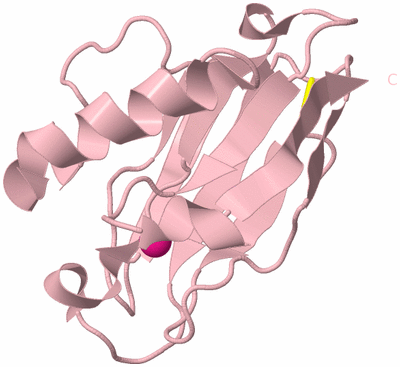 Image Biological Unit 3