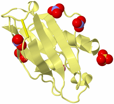 Image Biological Unit 4