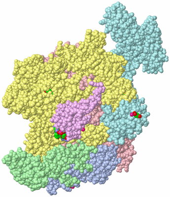 Image Biol. Unit 1 - sites