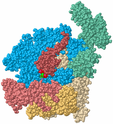 Image Biological Unit 2