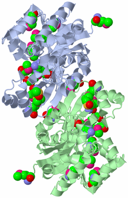 Image Asym./Biol. Unit