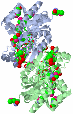 Image Asym./Biol. Unit - sites