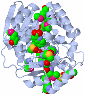 Image Biological Unit 1