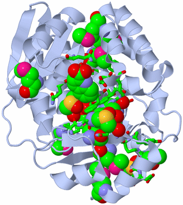 Image Biol. Unit 1 - sites