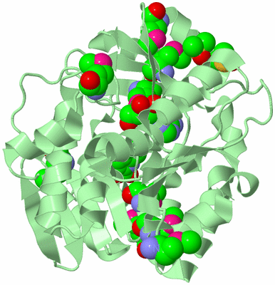 Image Biological Unit 2