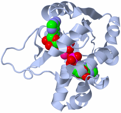 Image Biological Unit 1