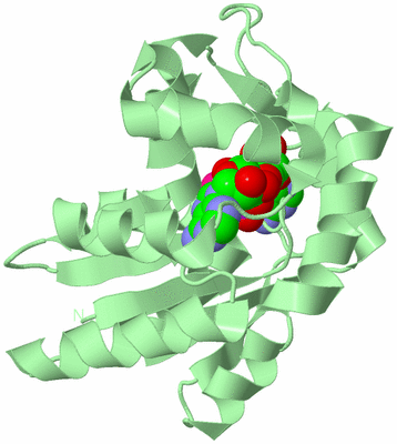 Image Biological Unit 2