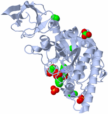 Image Biological Unit 1