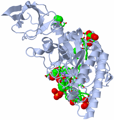 Image Biol. Unit 1 - sites