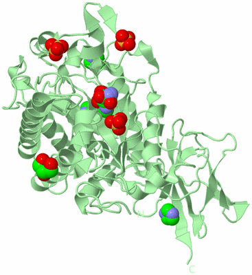 Image Biological Unit 2