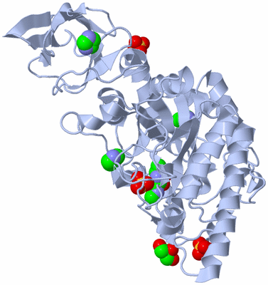 Image Biological Unit 1