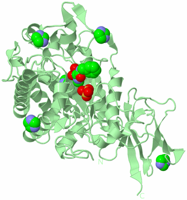 Image Biological Unit 2