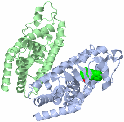 Image Biological Unit 1