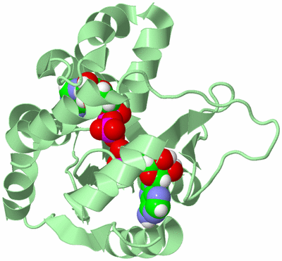 Image Biological Unit 2