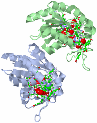 Image Asym. Unit - sites