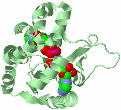 Image Biological Unit 2