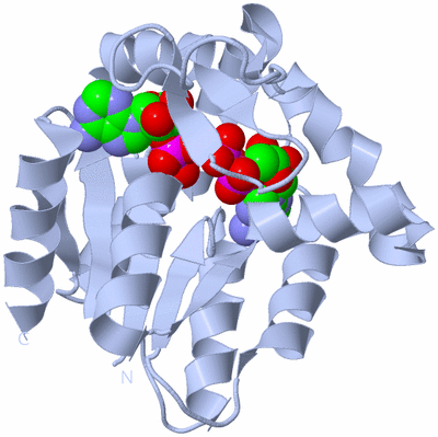 Image Biological Unit 1