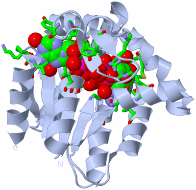 Image Biol. Unit 1 - sites