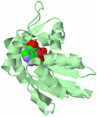 Image Biological Unit 2