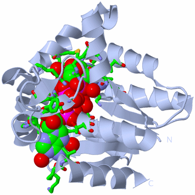 Image Biol. Unit 1 - sites