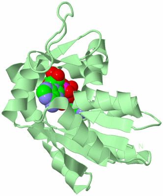 Image Biological Unit 2