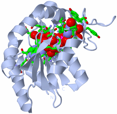 Image Biol. Unit 1 - sites