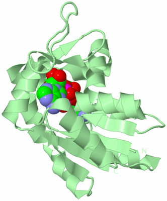 Image Biological Unit 2