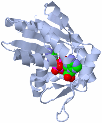 Image Biological Unit 1