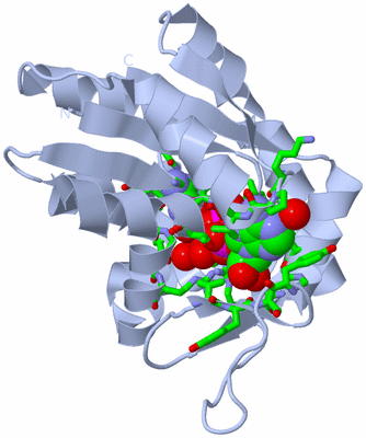 Image Biol. Unit 1 - sites