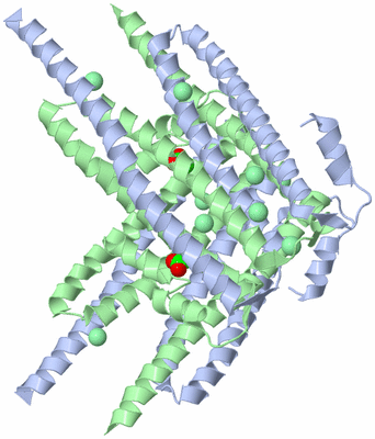 Image Biological Unit 3