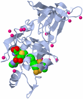 Image Biological Unit 1