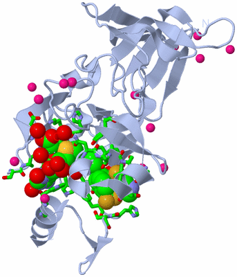 Image Biol. Unit 1 - sites