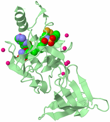 Image Biological Unit 2