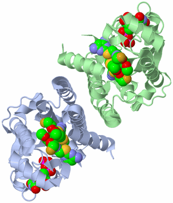 Image Asym./Biol. Unit