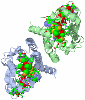 Image Asym./Biol. Unit - sites