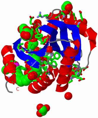 Image Asym. Unit - sites