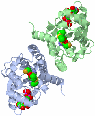 Image Asym./Biol. Unit