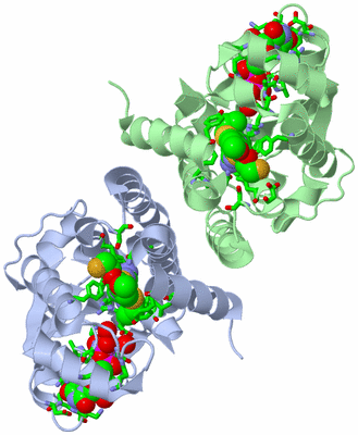 Image Asym./Biol. Unit - sites