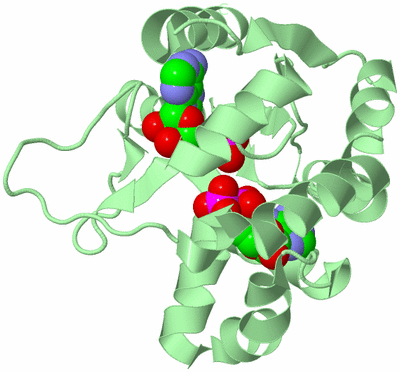 Image Biological Unit 2