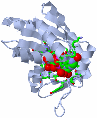 Image Biol. Unit 1 - sites