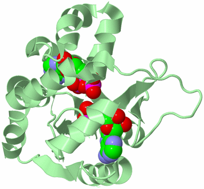 Image Biological Unit 2