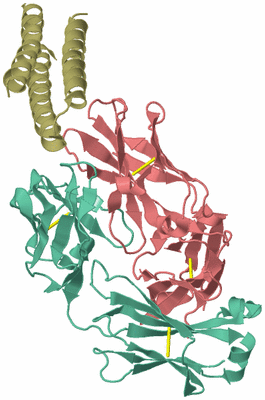 Image Biological Unit 1