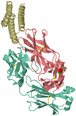 Image Biol. Unit 1 - sites