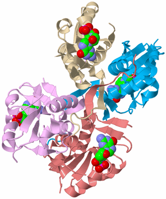 Image Biological Unit 2