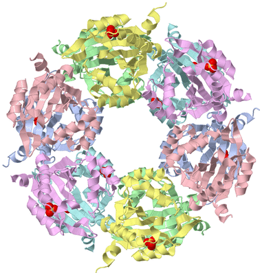 Image Biological Unit 1